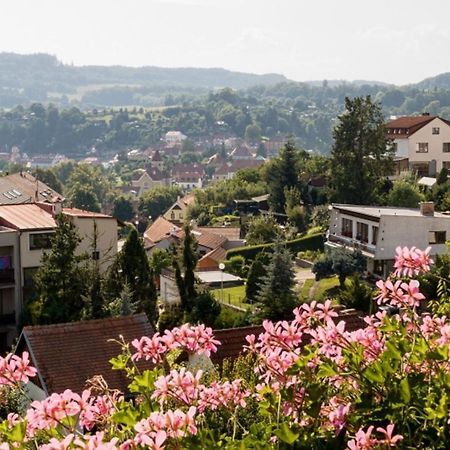 Element Bed & Breakfast Cesky Krumlov Luaran gambar
